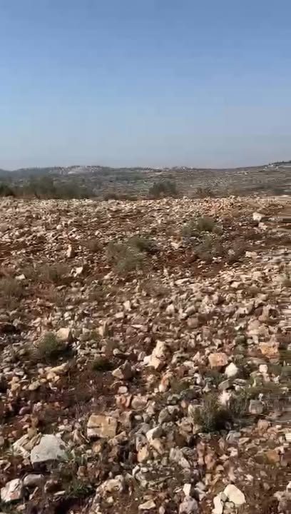 بدعوة من بلدية كوبر وبالتعاون مع هيئة الجدار و الإستيطان وأصحاب الأراضي ومؤسسات وفعاليات بلدة كوبر تم اليوم… – فيديو