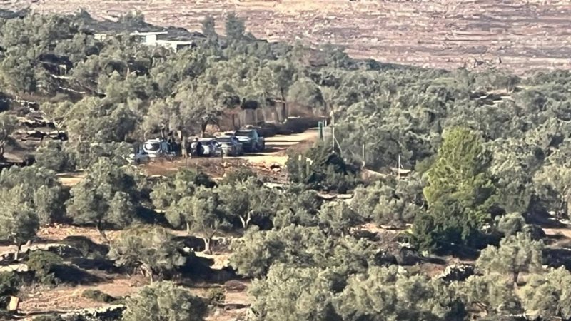 جنود الاحتلال ومستوطنون يعتقلون عددا من المواطنين ويحتجزون مركباتهم اثناء قطاف الزيتون منطقة الدعق في بلدة…