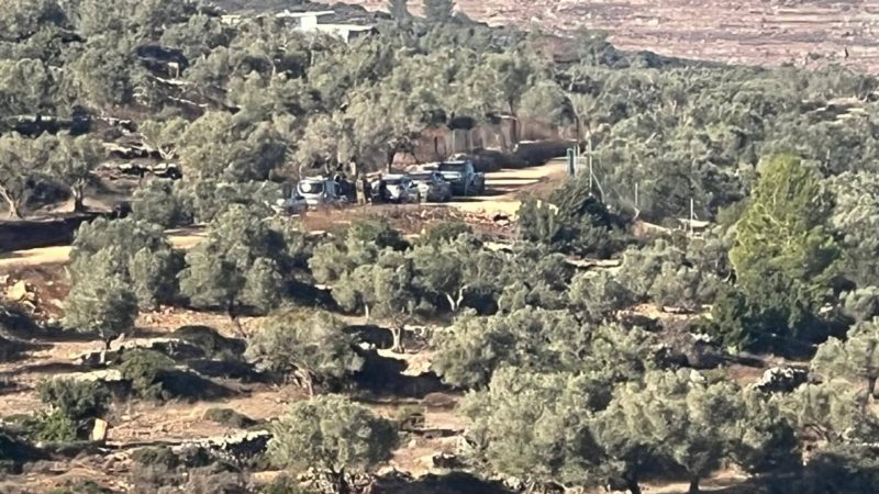 جنود الاحتلال ومستوطنون يعتقلون عددا من المواطنين ويحتجزون مركباتهم اثناء قطاف الزيتون منطقة الدعق في بلدة… – صورة 2