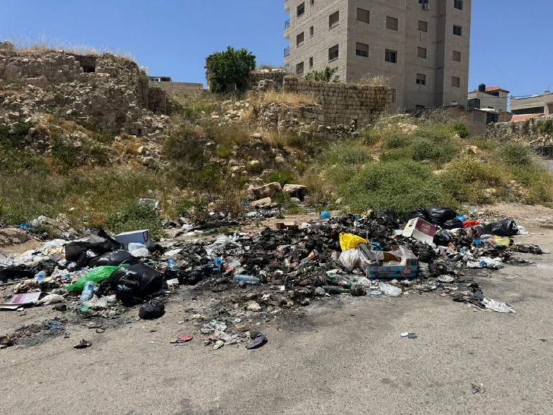نرجو منكم عدم إلقاء النفايات بجانب العيادة الواقعة في وسط البلد، حفاظًا على نظافة المكان والمظهر العام – صورة 2